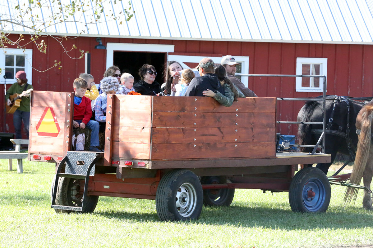 Wessels Fall Festival (12).jpg